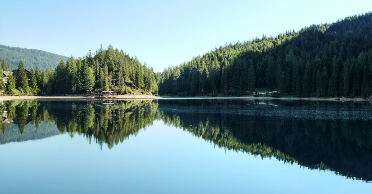 Ribničko jezero