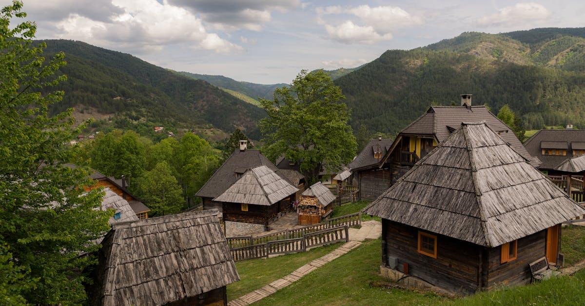 Novo selo na Zlatiboru - rustični šarm u srcu planine